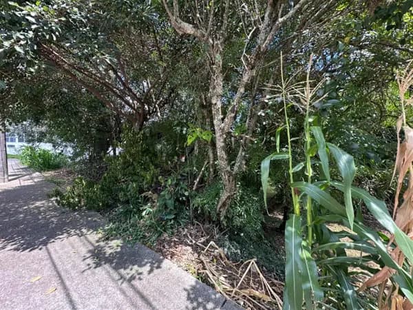 Terreno à venda no bairro São Roque em Bento Gonçalves/RS