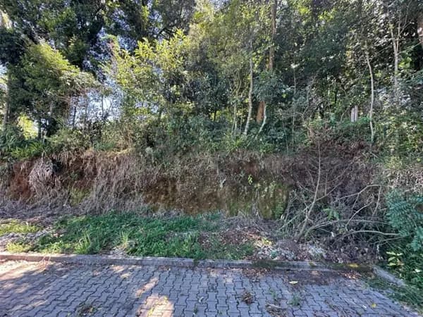 Terreno à venda no bairro Monte Verde em Farroupilha/RS
