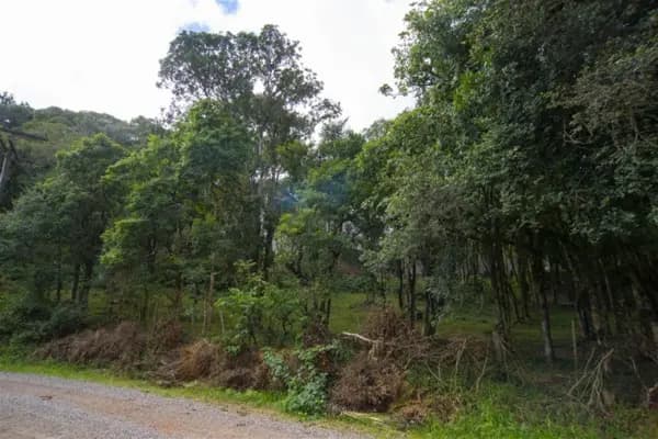 Terreno à venda no bairro Serrano em Caxias do Sul/RS