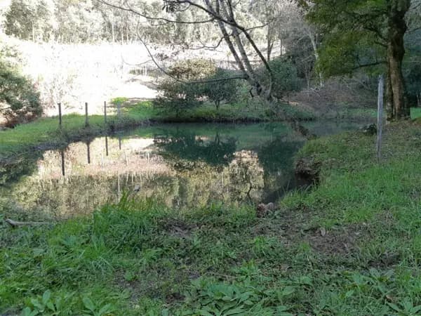 Chácara à venda no bairro Forqueta em Caxias do Sul/RS