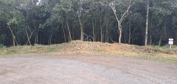Terreno à venda no bairro Desvio Rizzo em Caxias do Sul/RS
