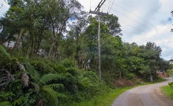 Terreno à venda no bairro Serrano em Caxias do Sul/RS
