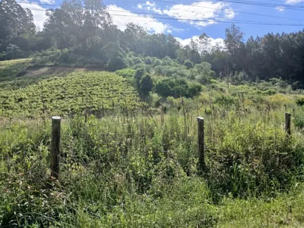 Terreno à venda no bairro Santa Corona em Caxias do Sul/RS