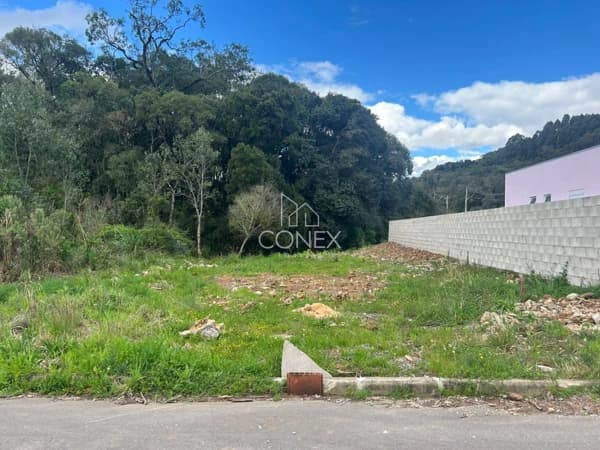 Terreno à venda no bairro Nossa Senhora da Saúde em Caxias do Sul/RS