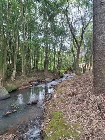 Chácara à venda no bairro Zona Rural em Farroupilha/RS