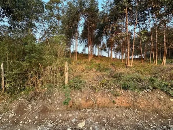 Terreno à venda no bairro Nova Sardenha em Farroupilha/RS