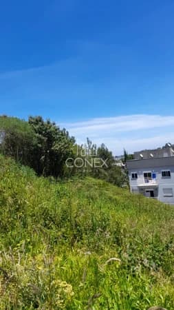 Terreno à venda no bairro 1º De Maio em Farroupilha/RS