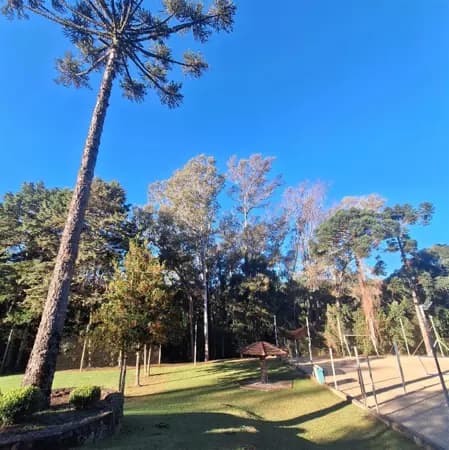 Terreno à venda no bairro Nossa Senhora da Saúde em Caxias do Sul/RS