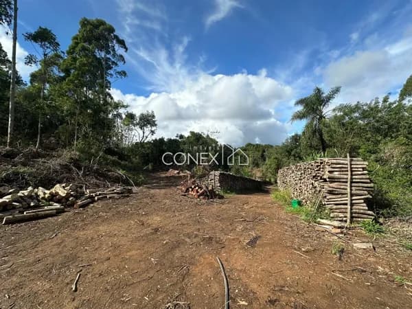 Área com 2 hectares (20.000 m²) localizada em Área Rural de Farroupilha/RS