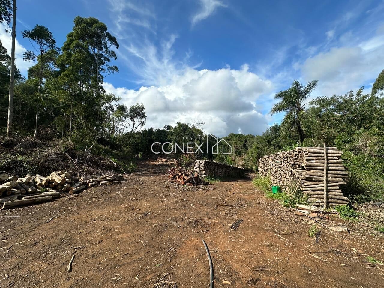 Área com 2 hectares (20.000 m²) localizada em Área Rural de Farroupilha/RS