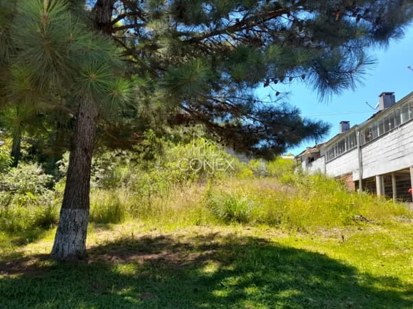 Terreno à venda no bairro Monte Verde em Farroupilha/RS