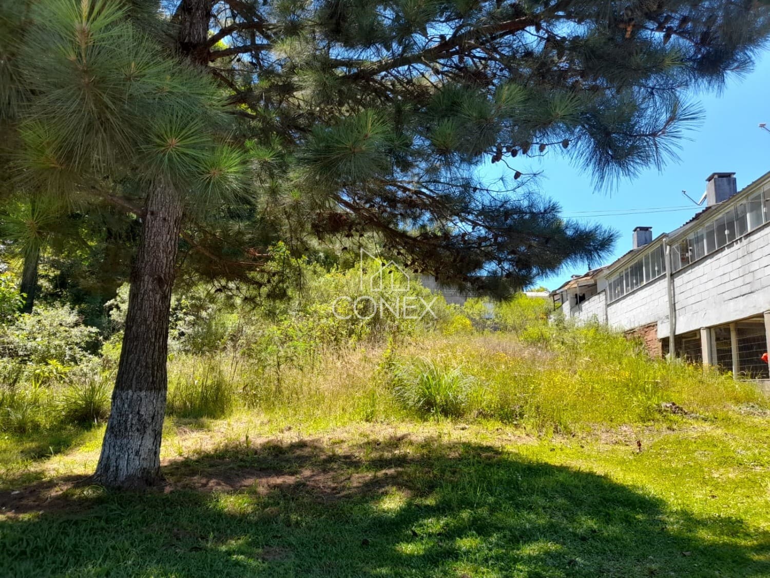 Terreno Imperdivel no Monte Verde