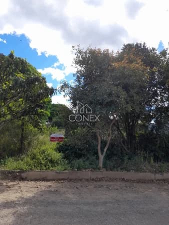 Terreno à venda no bairro Cruzeiro em Farroupilha/RS