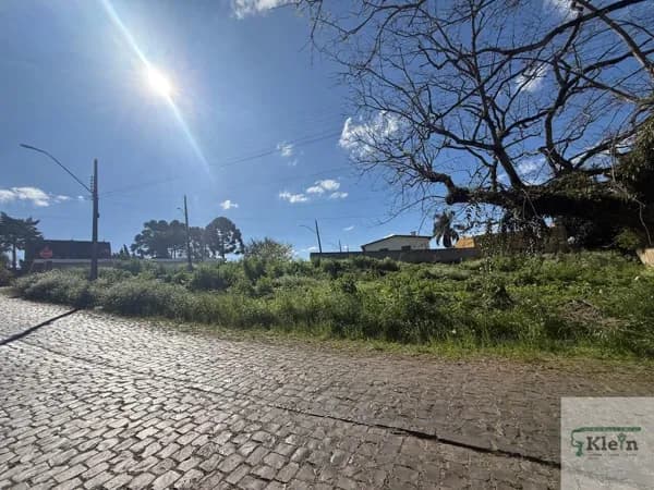 Lote/Terreno em Curitibanos - Centro