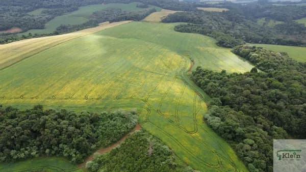 Fazenda de Lavoura em Campos Novos-SC