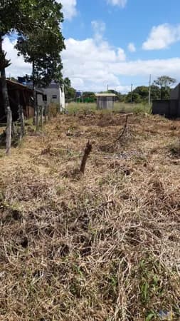 Oportunidade: Terreno de 360m² no Loteamento Luzemar, Praia do Ervino!