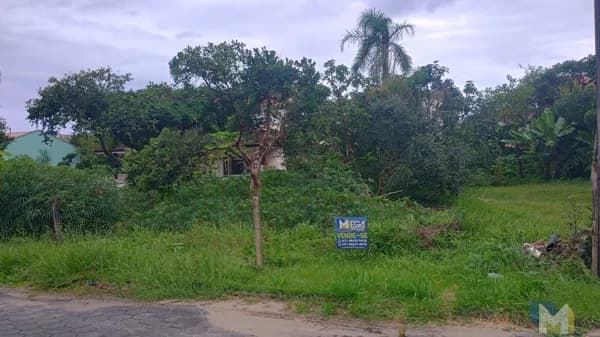 Oportunidade: Terreno Amplo de 490m² na Praia do Ervino - Rua Itajubá!