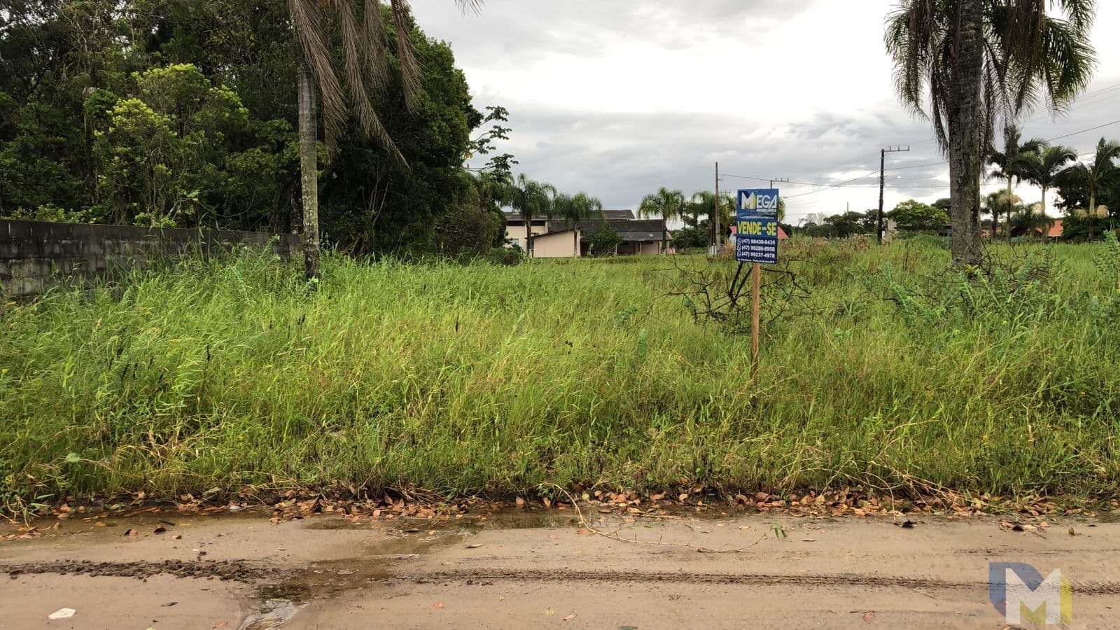 Oportunidade: Terreno Amplo de 462m² na Praia do Ervino - Loteamento Noêmia!