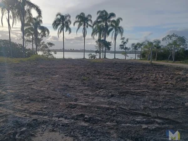Oportunidade Única: 2 Terrenos de esquina de frete para o Canal do Linguado na Praia do Ervino!