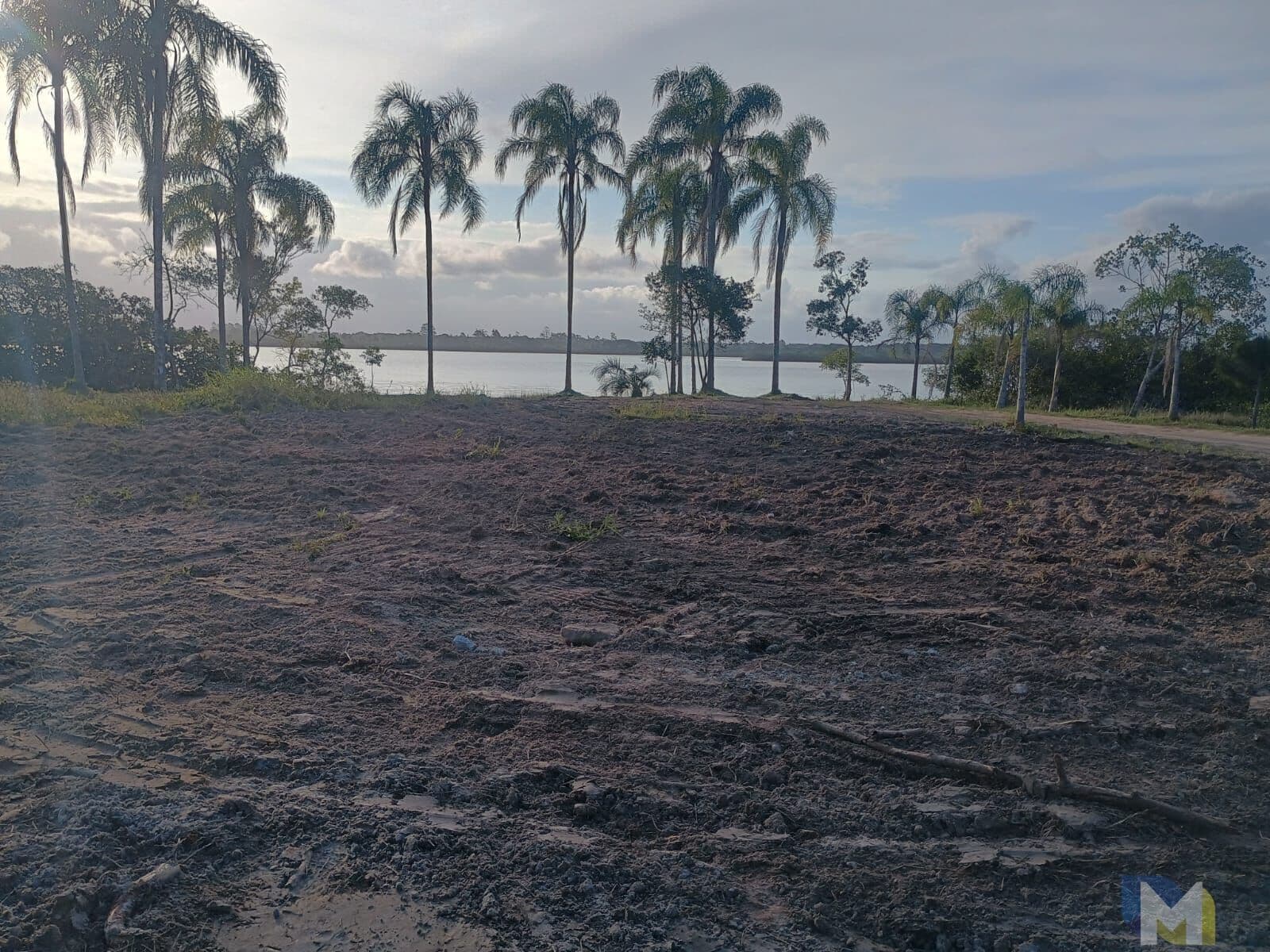 Oportunidade Única: 2 Terrenos de esquina de frete para o Canal do Linguado na Praia do Ervino!