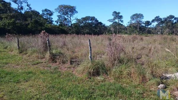 3 Lotes na Praia do Ervino: R$130 Mil Cada! Perto do Canal do Linguado.