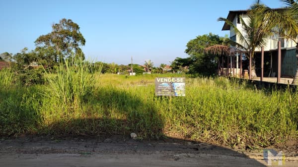 Terreno Comercial na Praia do Ervino - Rua Barra Velha | 15x35m | Pronto para Construir