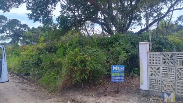 Lote à Venda na Praia do Ervino: 360m² no Loteamento Luzemar!