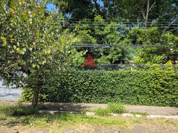 Terreno em Cristo Rei, São Leopoldo/RS