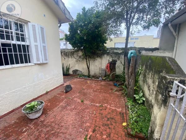 Casa Padrão para Aluguel em Chácara Santo Antônio (Zona Leste) São Paulo-SP