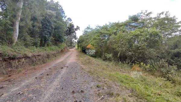 Terreno para Venda em Serra Alta São Bento do Sul-SC