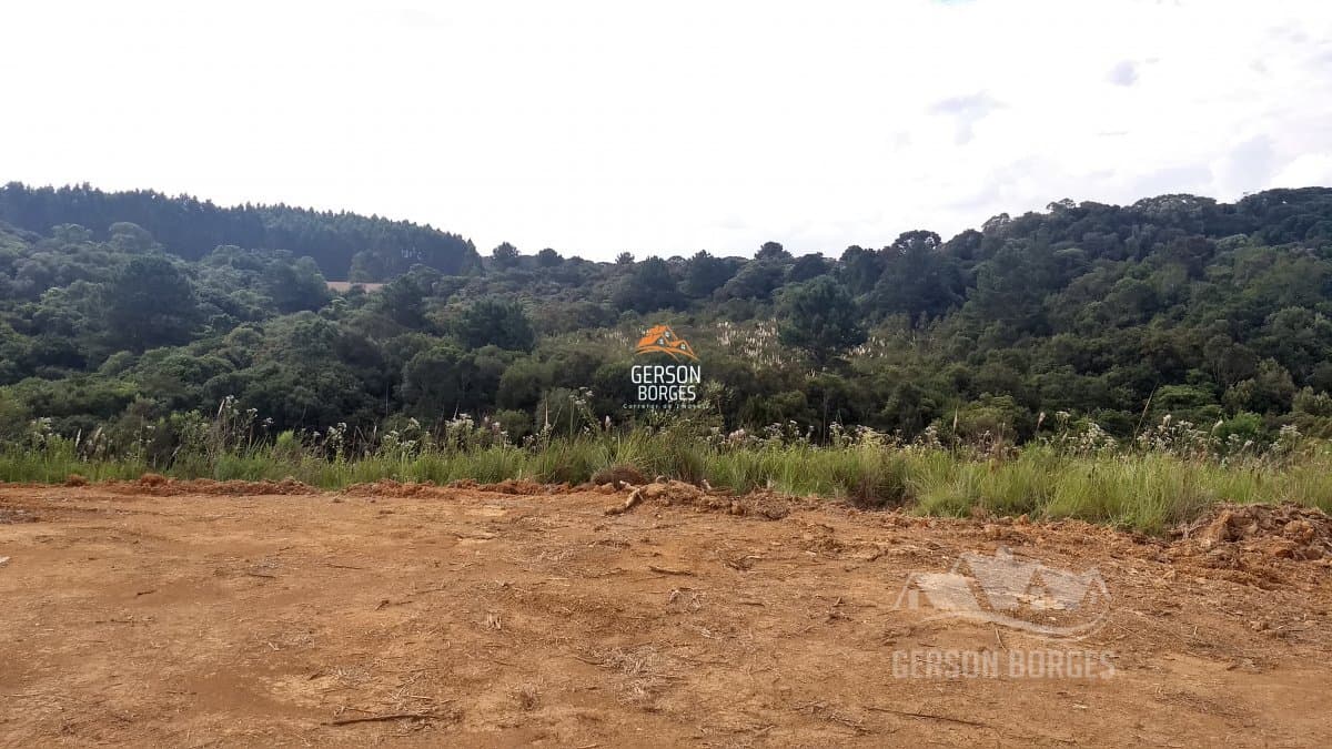 Terreno para Venda em Oxford São Bento do Sul-SC
