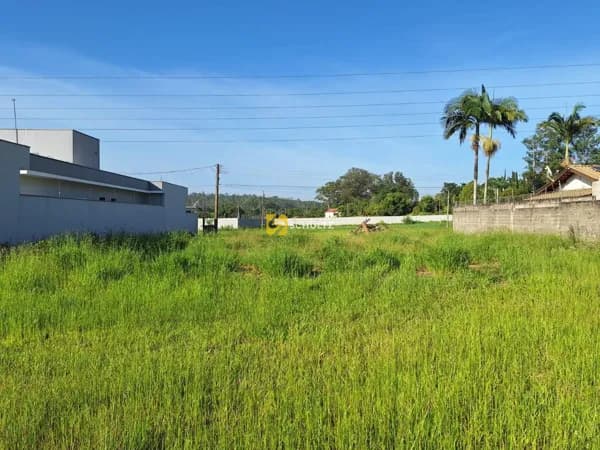 Terreno à venda, 805 m² por R$ 720.000 - Residencial Florença - Rio Claro/SP
