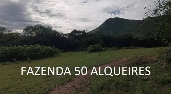 Fazenda 50 Alqueires 48 km Niquelândia Goiás