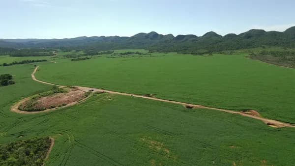 Fazenda 392 Alqueires Margens Asfalto Niquelândia Goiás