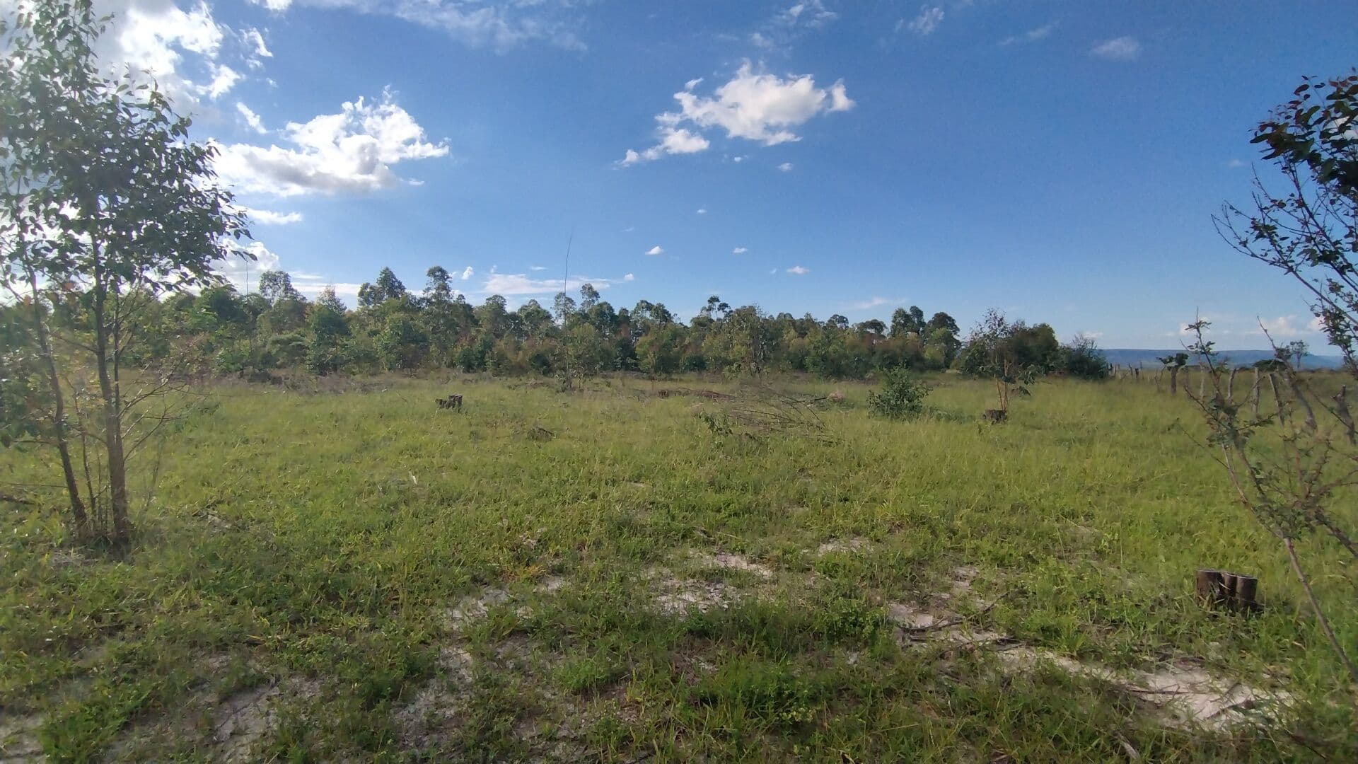 Sitio 2 Alqueires Terreno Plano 9 km Cocalzinho de Goiás