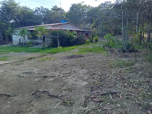 Chácara 25.000 m² Próximo Cachoeira Couros Alto Paraiso Goiás