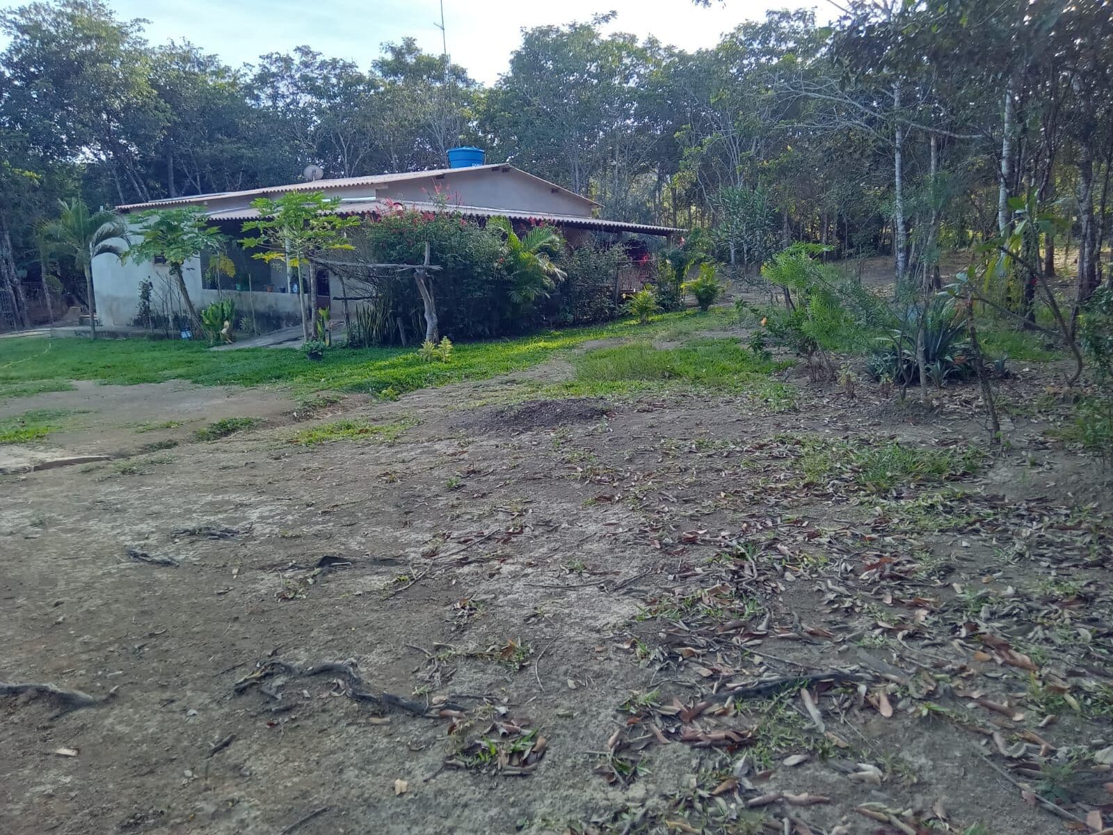 Chácara 25.000 m² Próximo Cachoeira Couros Alto Paraiso Goiás