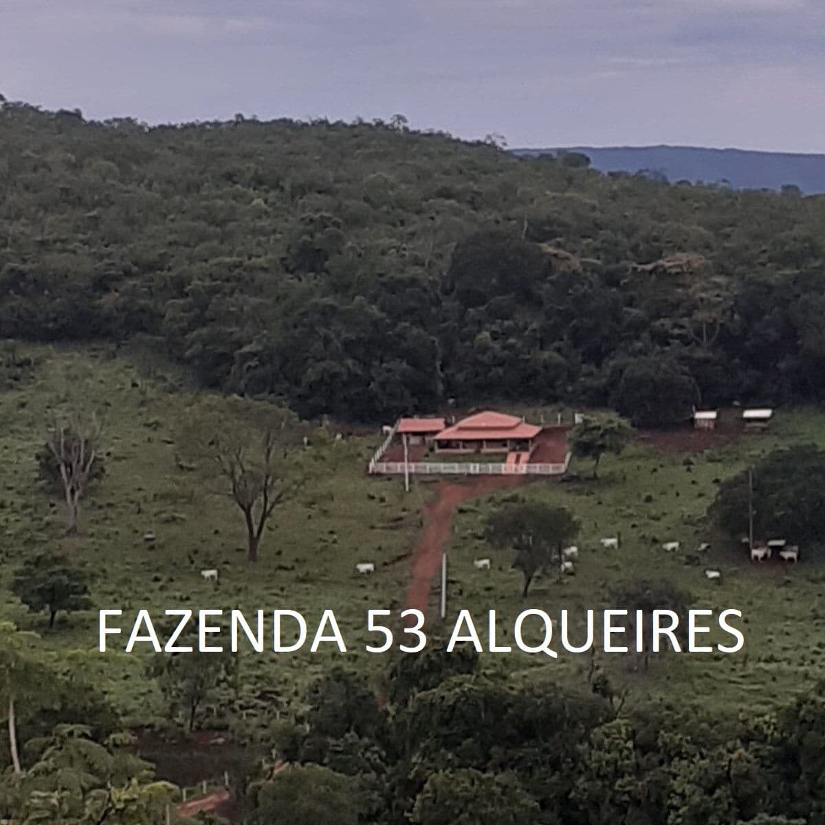 Fazenda 53 Alqueires 20 km Niquelândia Goiás