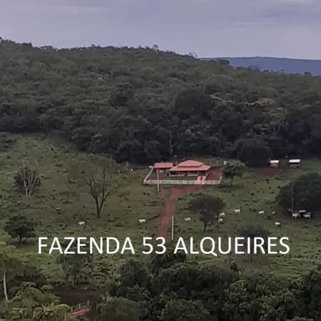 Fazenda 53 Alqueires 20 km Niquelândia Goiás