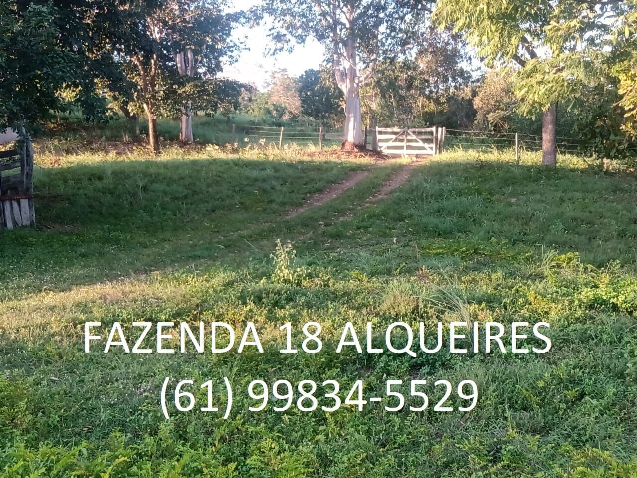 Fazenda 18 Alqueires Formada Niquelândia Goiás