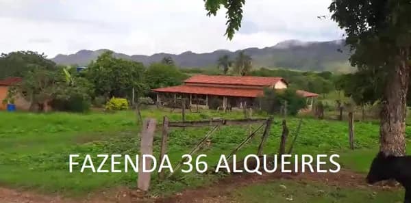Fazenda 36 Alqueires Formada Niquelândia Goiás
