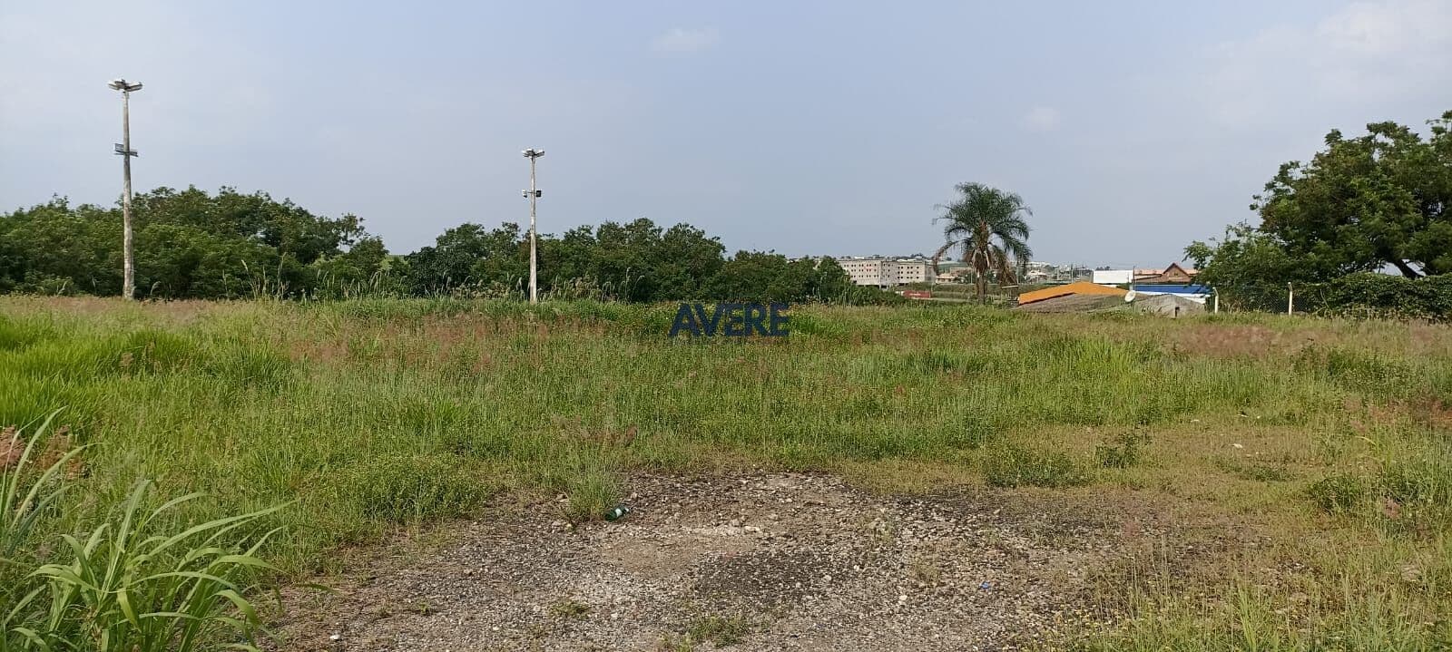 Área Industrial para venda no Bairro Santa Cândida em Campinas/SP.