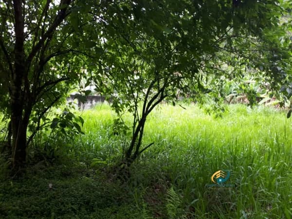 Ponto comercial Comercio para Venda em Duas Pedras Nova Friburgo-RJ