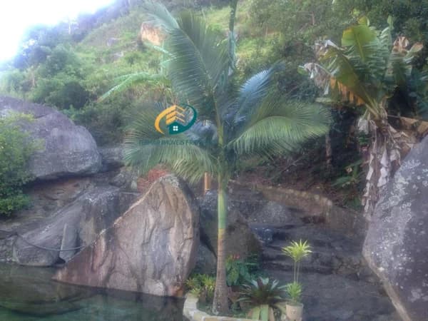 Sítio para Venda em Riograndina Nova Friburgo-RJ