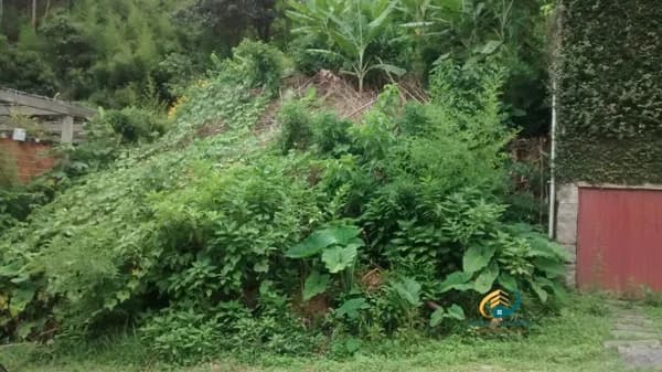 Terreno para Venda em Vale dos Pinheiros Nova Friburgo-RJ