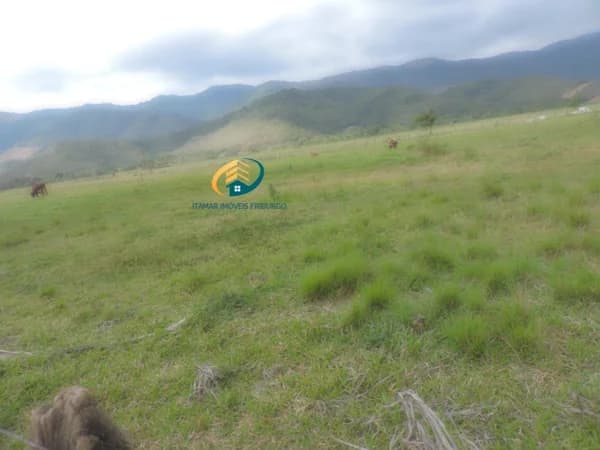 Fazenda para Venda em Imbaú Silva Jardim-RJ