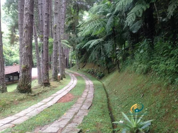 Sítio para Venda em Mury Nova Friburgo-RJ