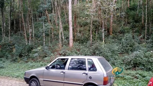 Terreno para Venda em Fazenda Bela Vista Nova Friburgo-RJ