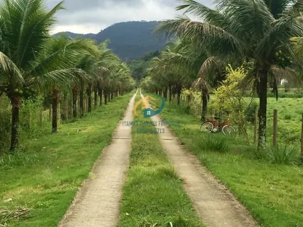 Fazenda/Sítios/Chácaras em Silva Jardim - Coqueiro