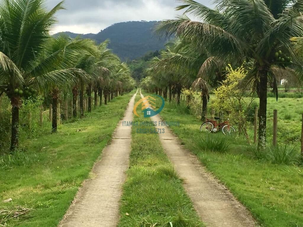 Fazenda/Sítios/Chácaras em Silva Jardim - Coqueiro